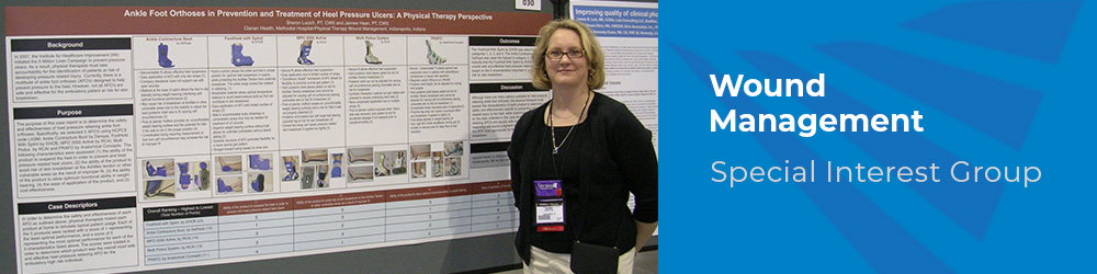 Wound Management Special Interest Group