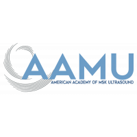 American Academy MSK