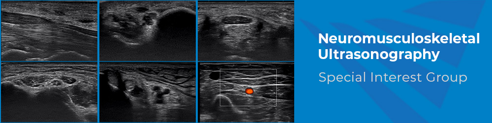 Neuromusculoskeletal Ultrasonography Special Interest Group